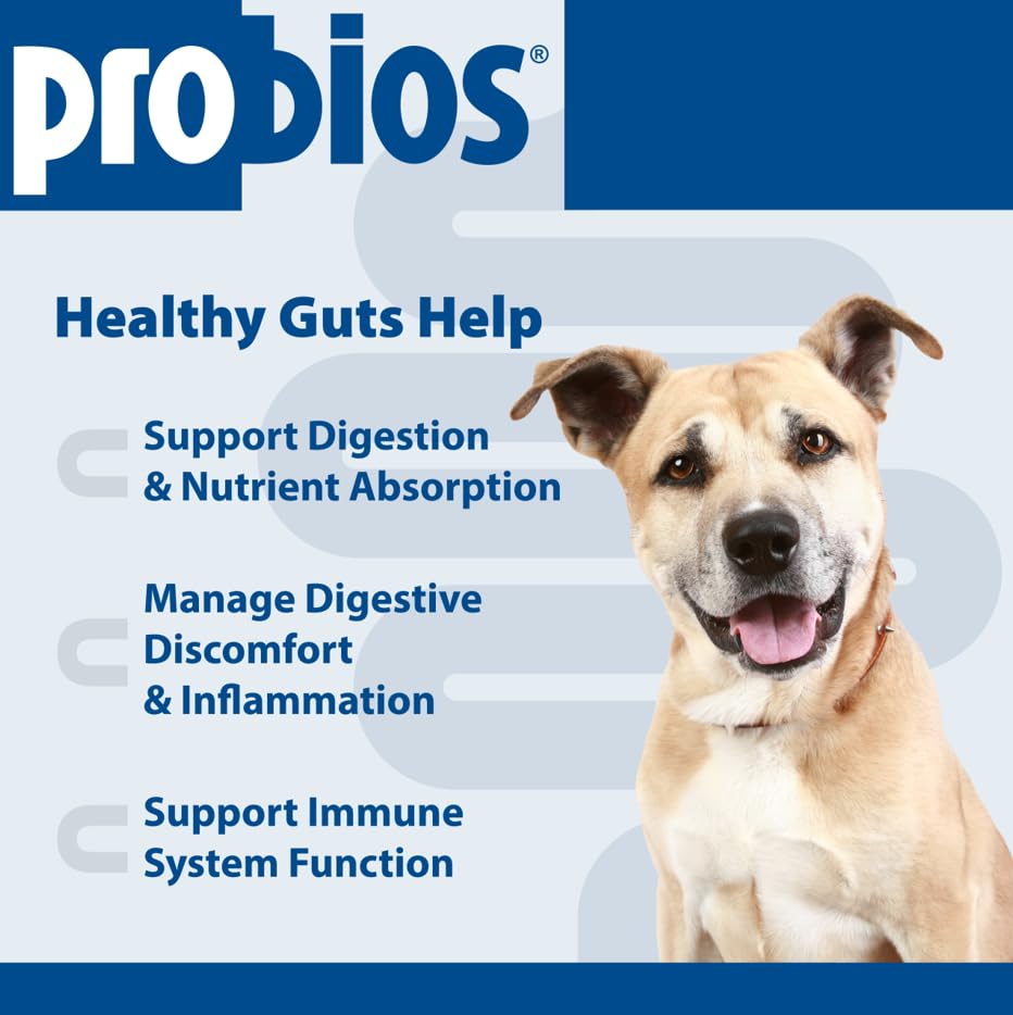 probios-for-dogs-soft-chews-probiotics-f-3.jpg