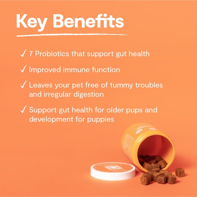 open-farm-probiotic-chews-dog-supplement-4.jpg