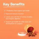 open-farm-probiotic-chews-dog-supplement-4.jpg