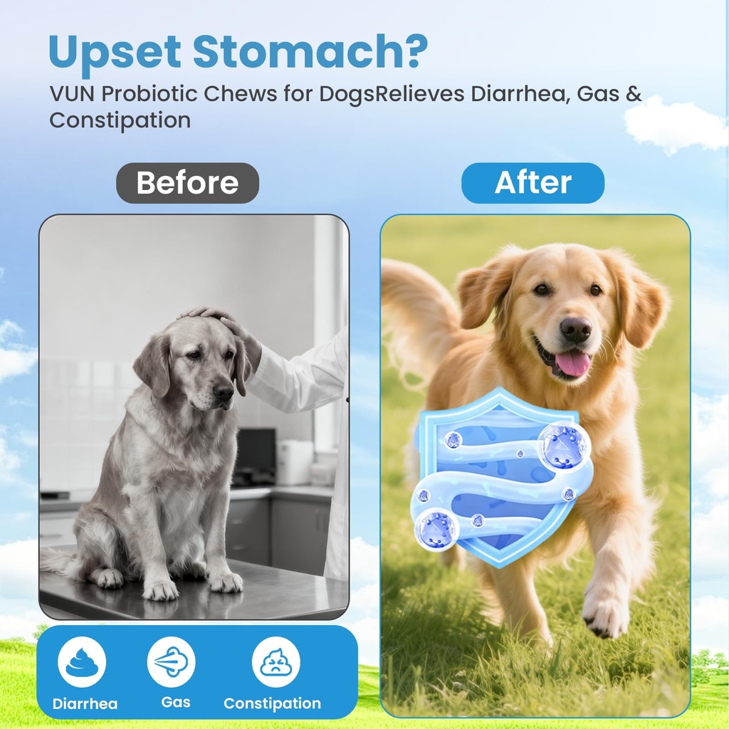 probiotics-for-dogs-digestive-immune-sys-4.jpg