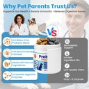 probiotics-for-dogs-digestive-immune-sys-5.jpg