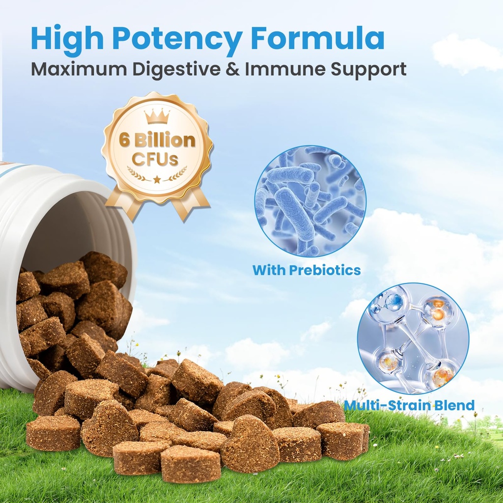 probiotics-for-dogs-digestive-immune-sys-6.jpg