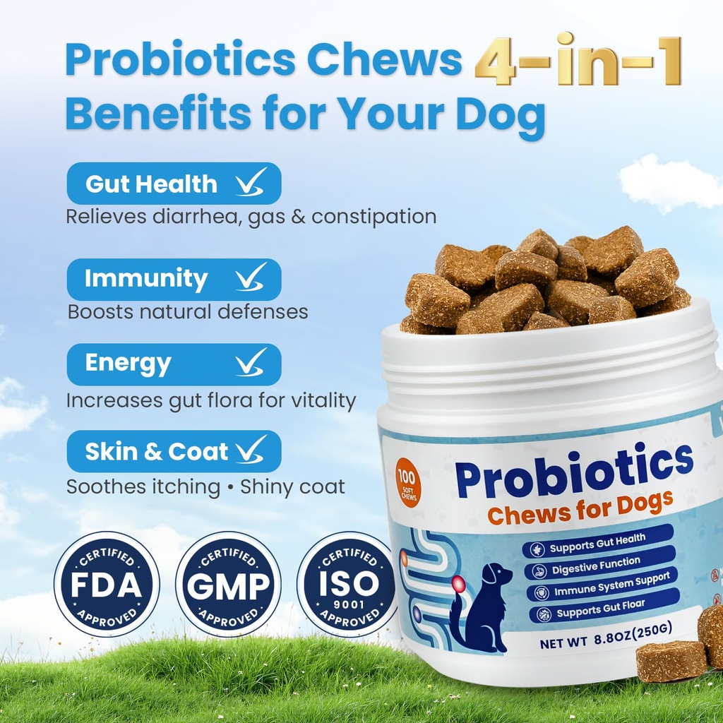 probiotics-for-dogs-digestive-immune-sys-2.jpg