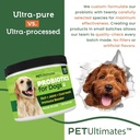 pet-ultimates-pet-probiotics-for-dogs-13-3.jpg