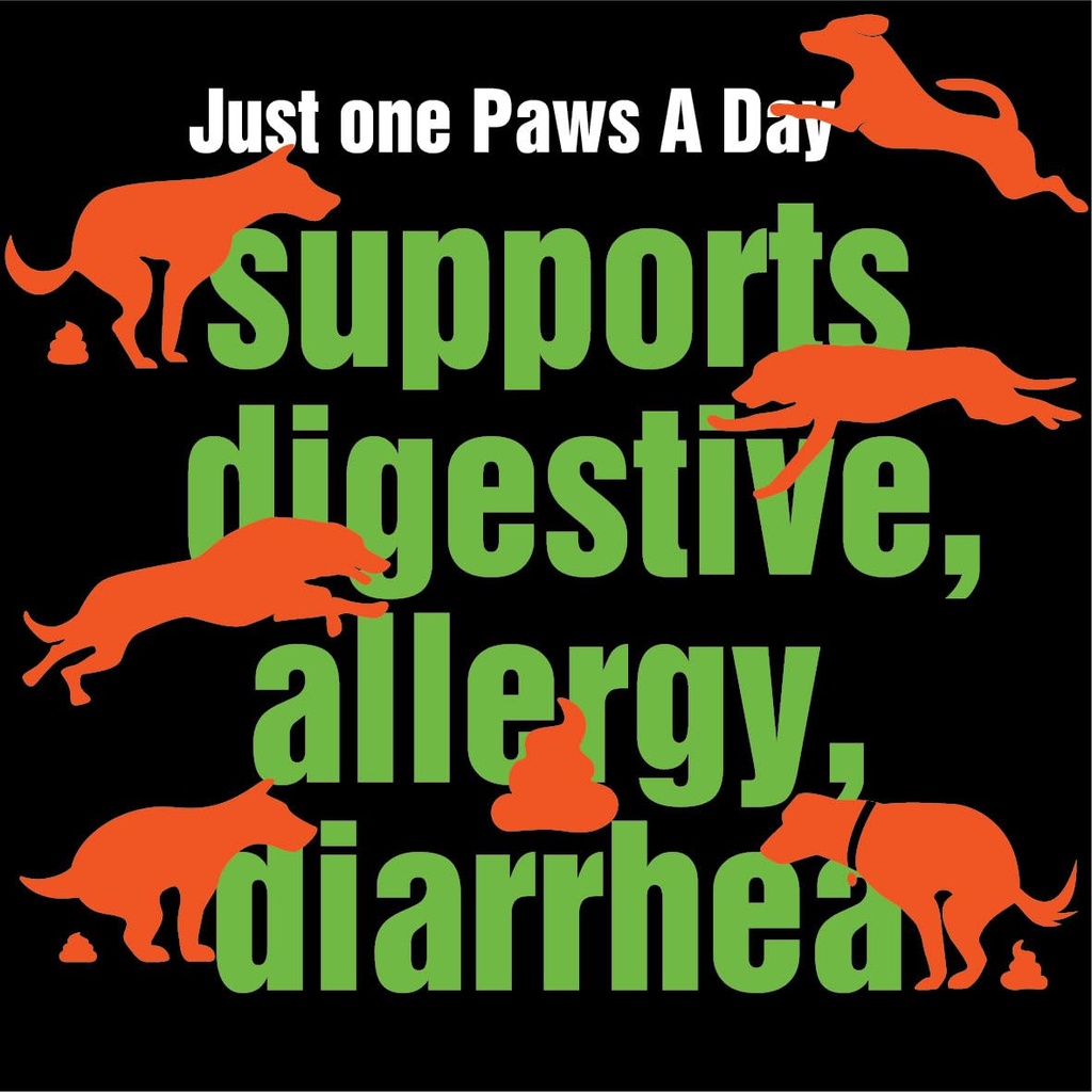 army-soldier-owned-dog-probiotics-for-ye-3.jpg
