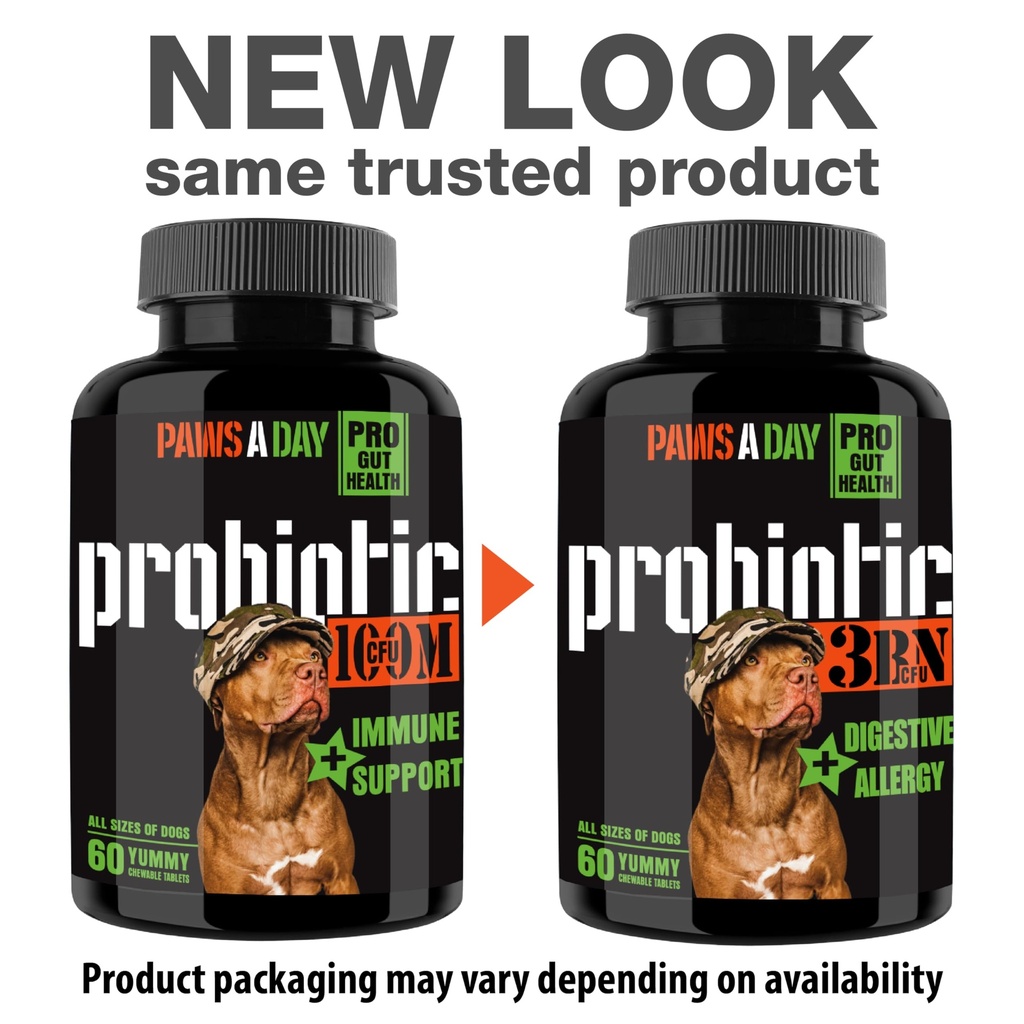 army-soldier-owned-dog-probiotics-for-ye-2.jpg