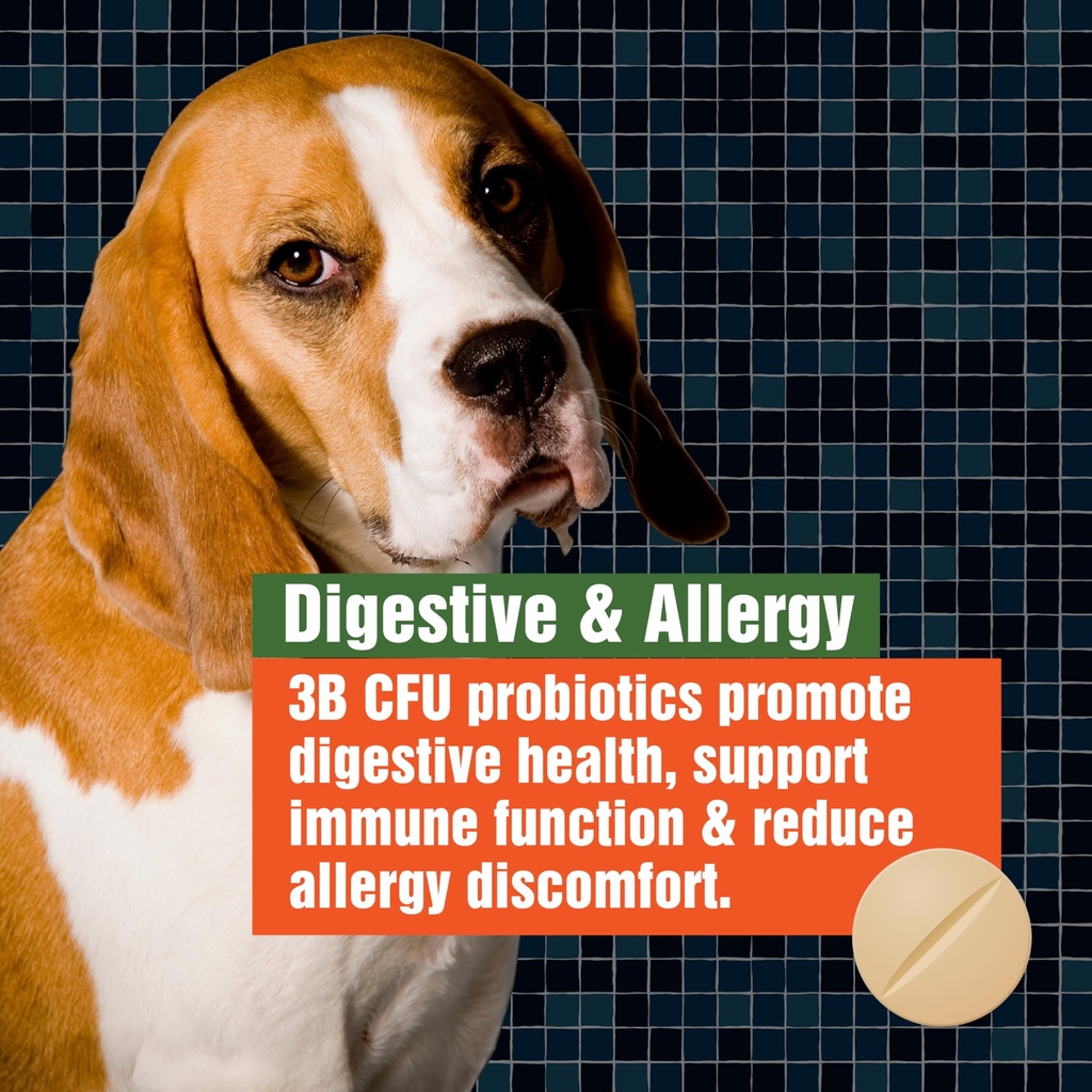 army-soldier-owned-dog-probiotics-for-ye-6.jpg