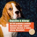 army-soldier-owned-dog-probiotics-for-ye-6.jpg
