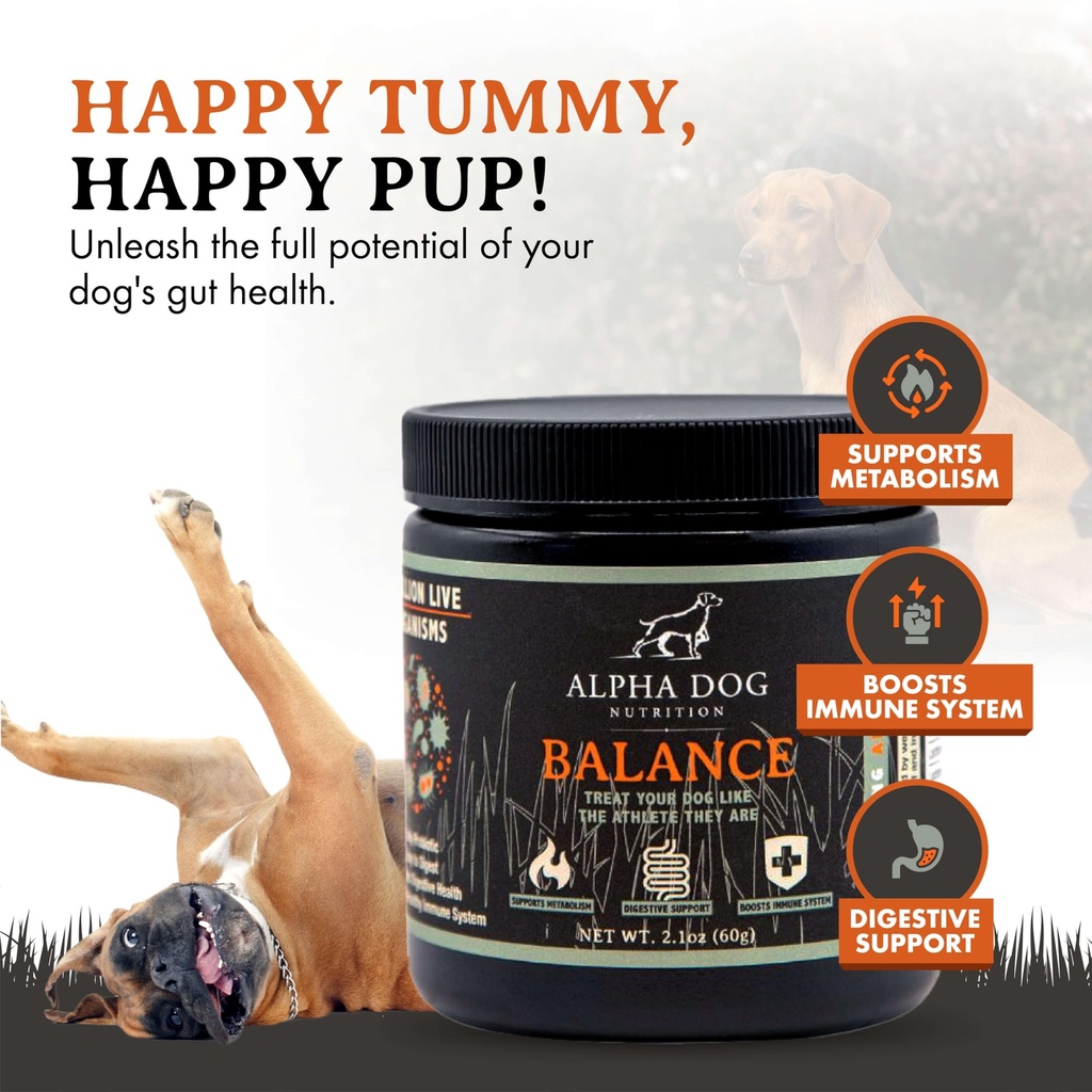 balance-probiotic-blend-for-dogs-by-alph-4.jpg