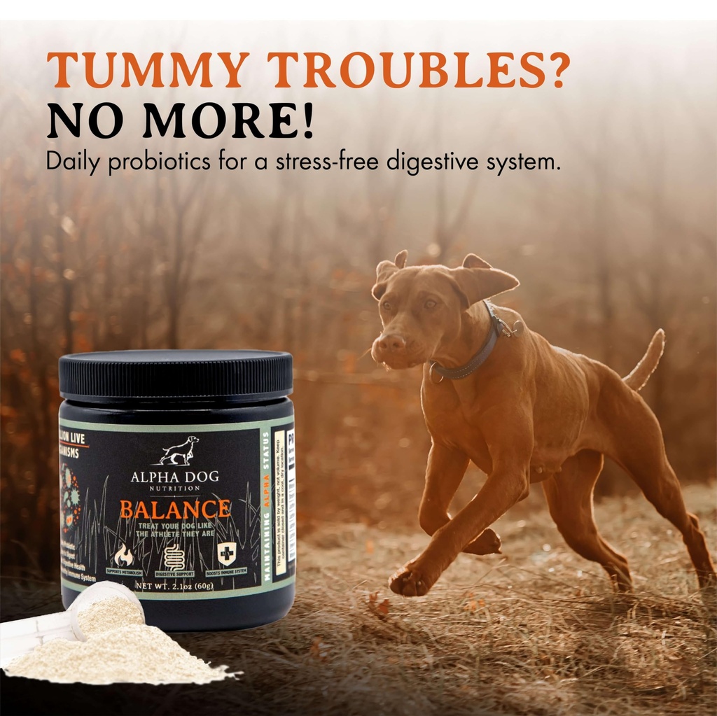 balance-probiotic-blend-for-dogs-by-alph-3.jpg