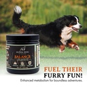 balance-probiotic-blend-for-dogs-by-alph-6.jpg