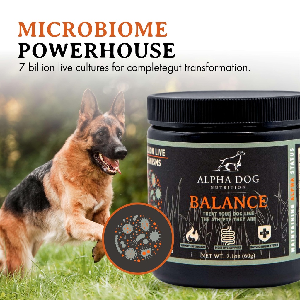 balance-probiotic-blend-for-dogs-by-alph-5.jpg