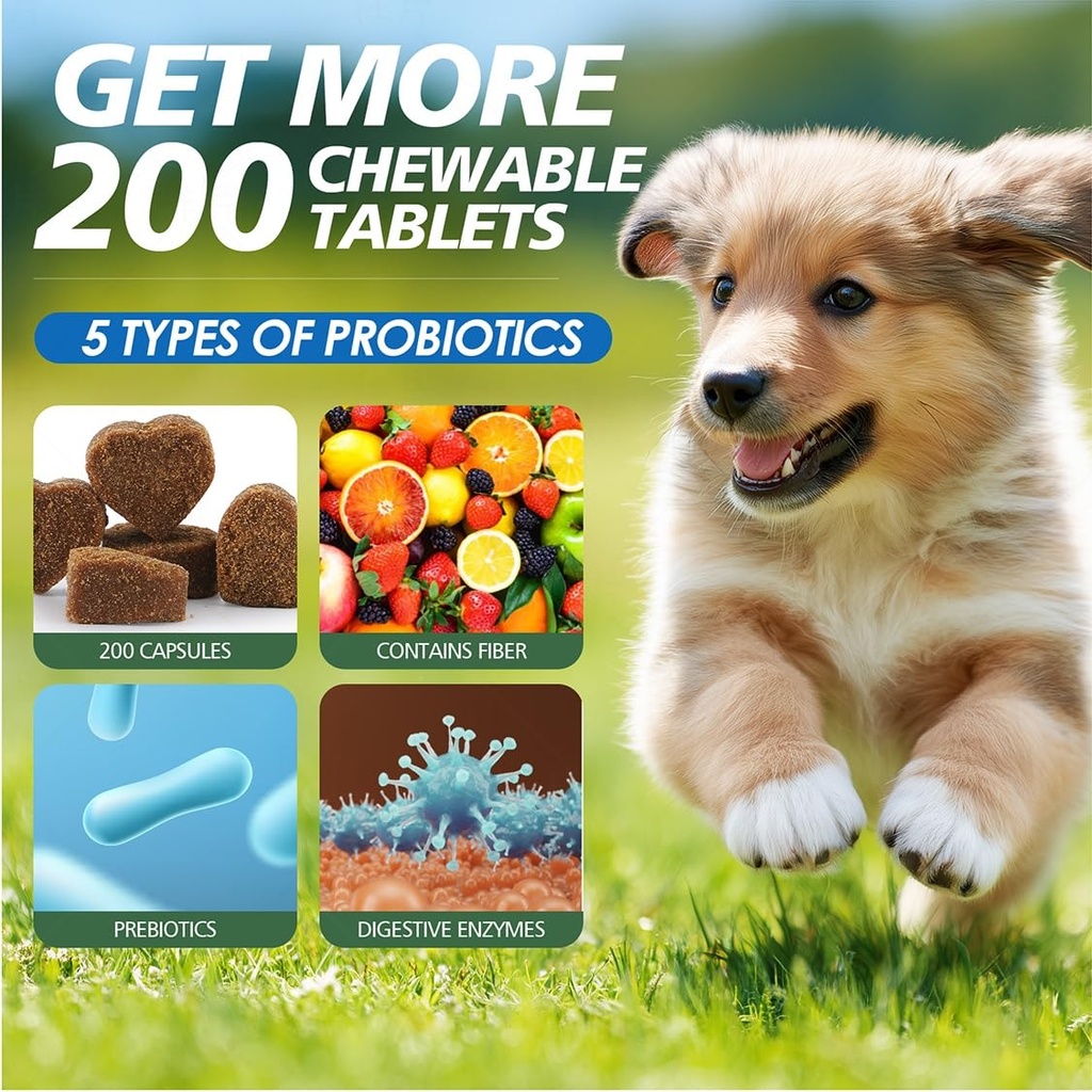 probiotics-for-dogs-gut-health-digestion-2.jpg