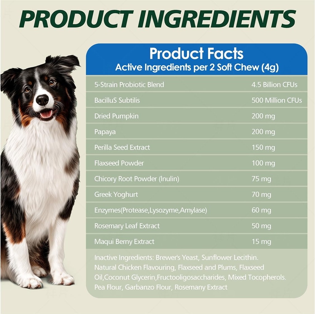 probiotics-for-dogs-gut-health-digestion-6.jpg