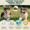 probiotics-for-dogs-gut-health-digestion-5.jpg