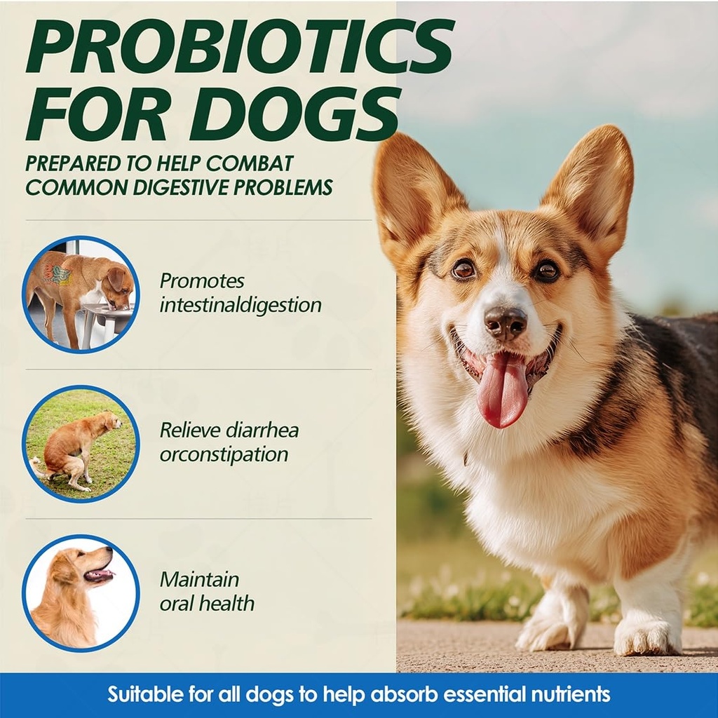 probiotics-for-dogs-gut-health-digestion-3.jpg