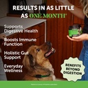 pet-honesty-dog-wellness-virtual-bundle--2.jpg