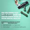 pet-honesty-dog-wellness-virtual-bundle--3.jpg