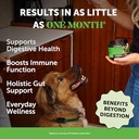 pet-honesty-dog-wellness-virtual-bundle--2.jpg