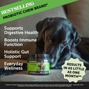 probiotics-for-dogs-dental-powder-virtua-2.jpg