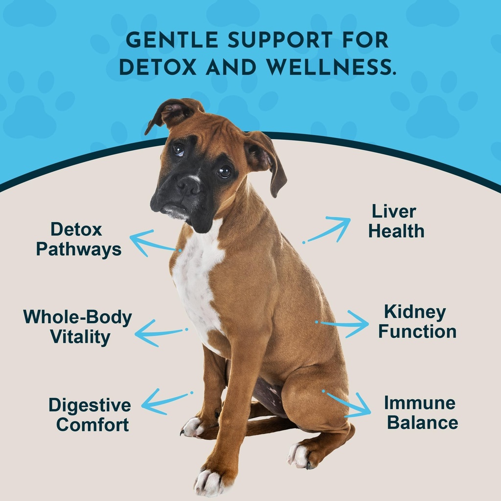 animal-essentials-detox-allergy-blend-2--3.jpg