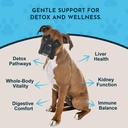 animal-essentials-detox-allergy-blend-2--3.jpg