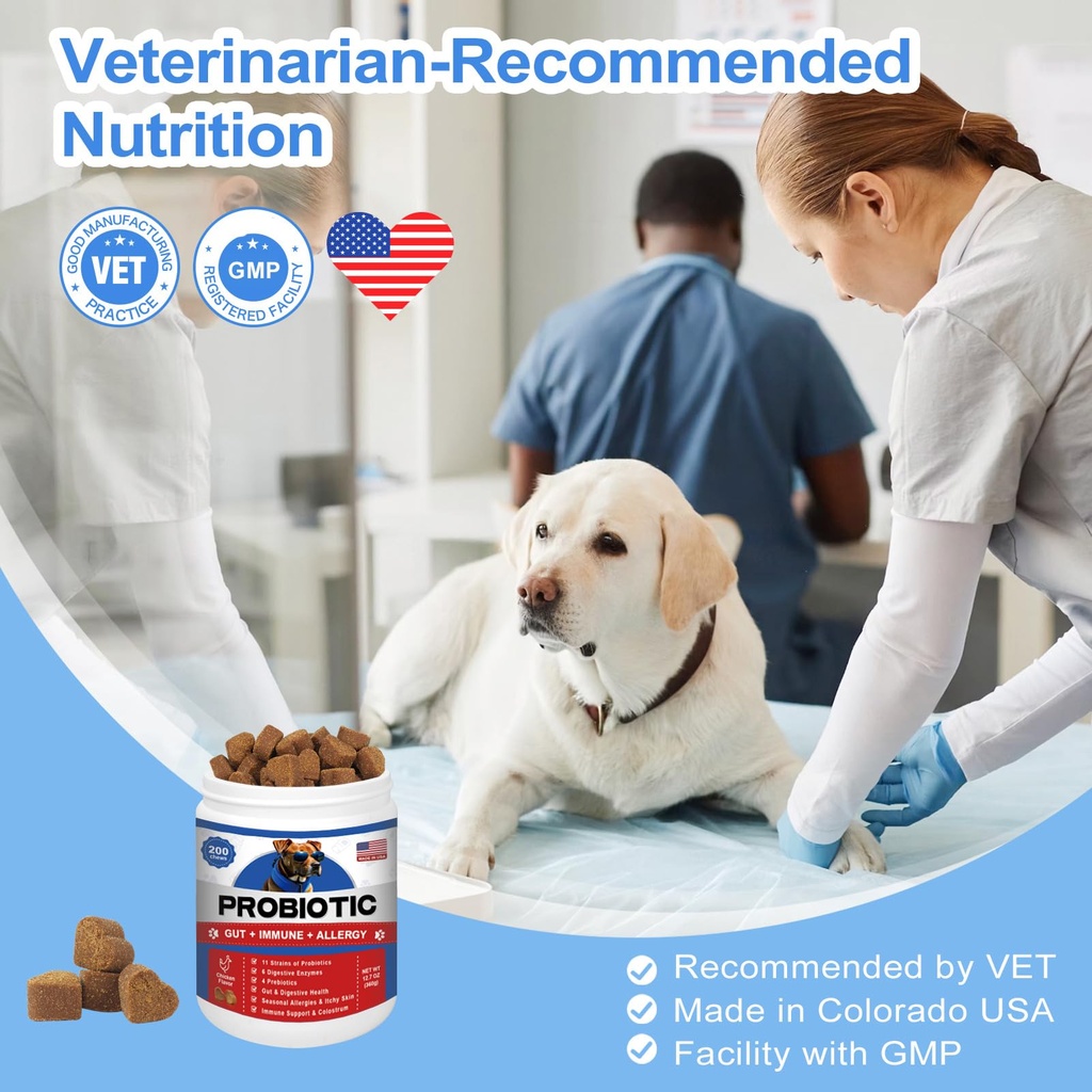 probiotics-for-dogs-gut-digestive-health-2.jpg