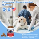 probiotics-for-dogs-gut-digestive-health-2.jpg