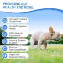 probiotics-for-dogs-gut-digestive-health-4.jpg