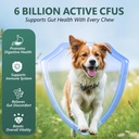 ocepor-400-pcs-probiotics-for-dogs-dog-p-2.jpg