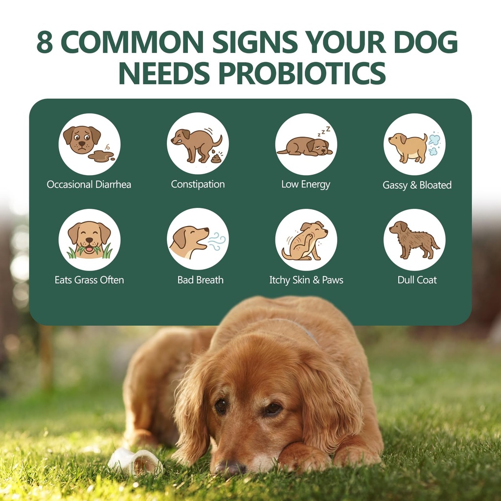 ocepor-400-pcs-probiotics-for-dogs-dog-p-4.jpg