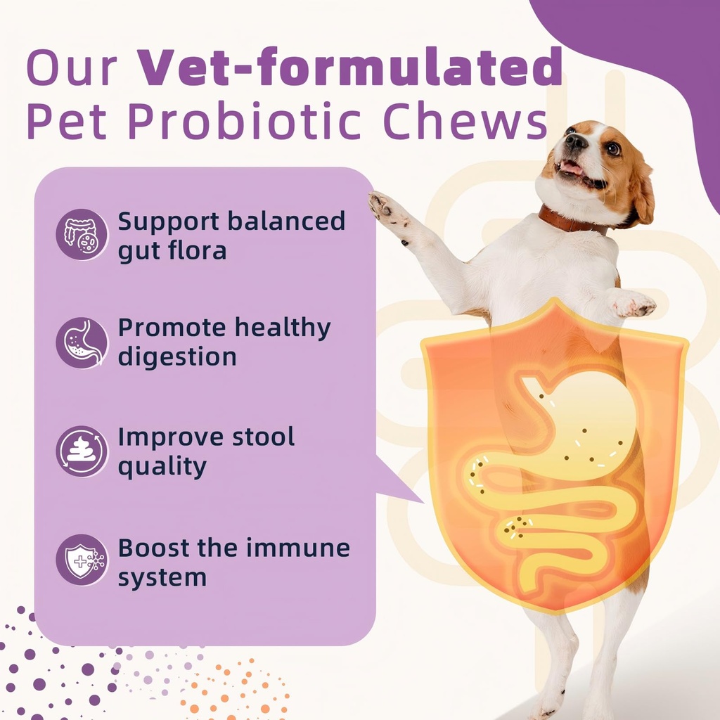 zebora-probiotics-for-dogs-dog-probiotic-2.jpg