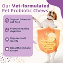 zebora-probiotics-for-dogs-dog-probiotic-2.jpg