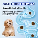 probiotics-for-dogs-with-digestive-enzym-6.jpg