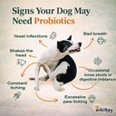 wikiray-probiotics-for-dogs-soft-chews-f-2.jpg