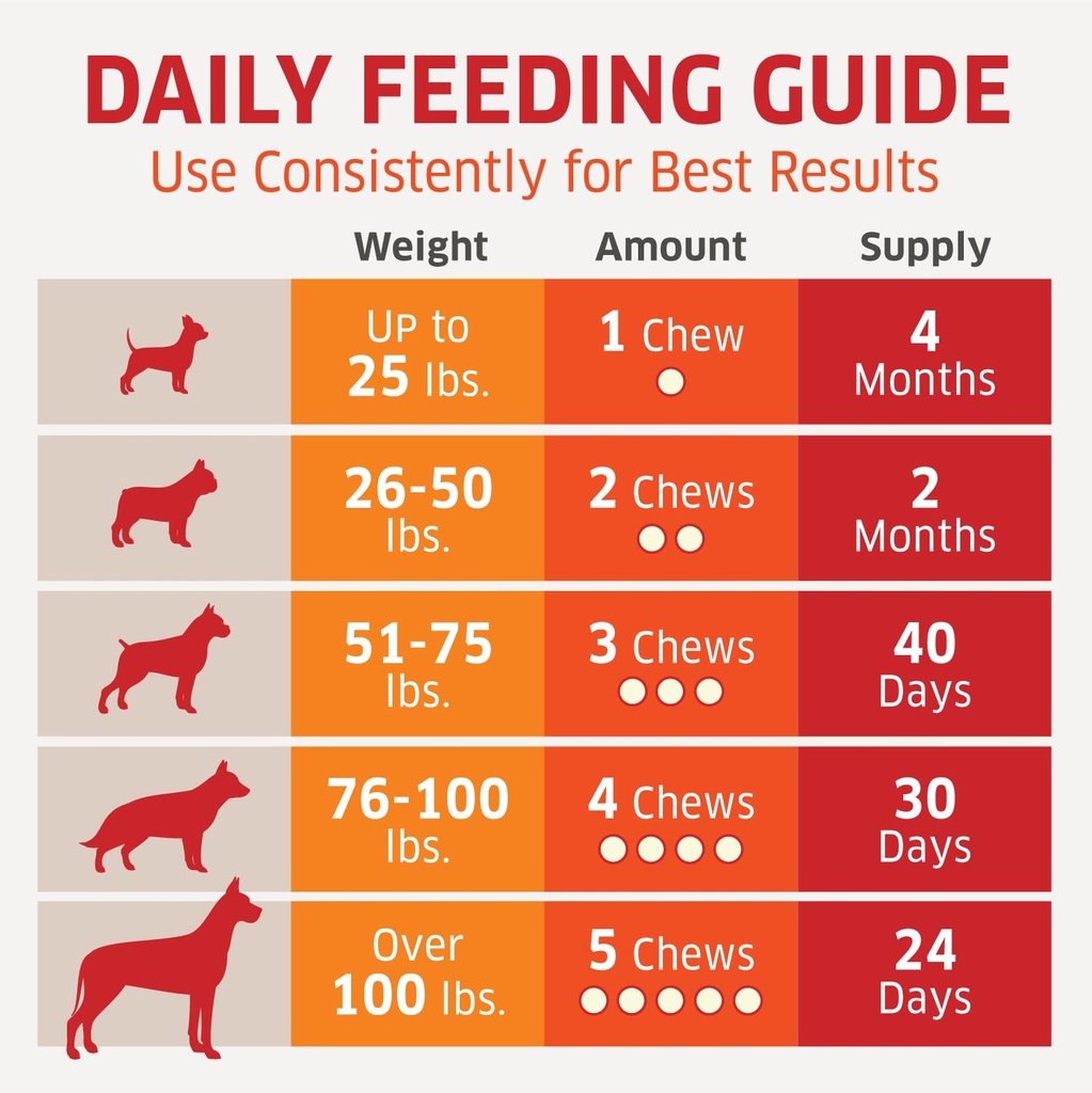 probiotics-for-dogs-hot-spot-remedy-for--5.jpg
