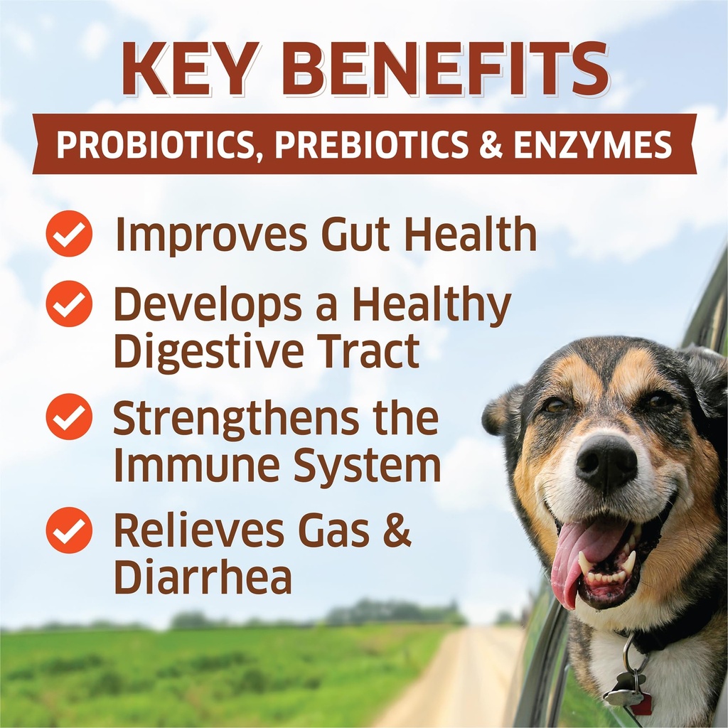 probiotics-for-dogs-hot-spot-remedy-for--2.jpg
