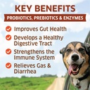 probiotics-for-dogs-hot-spot-remedy-for--2.jpg