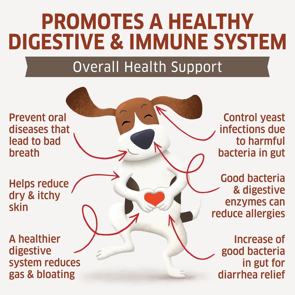 probiotics-for-dogs-hot-spot-remedy-for--3.jpg