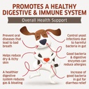probiotics-for-dogs-hot-spot-remedy-for--3.jpg