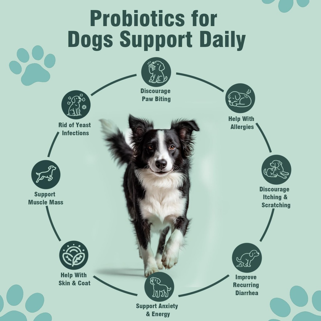 probiotics-for-dogs-200-soft-chews-suppo-3.jpg