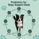probiotics-for-dogs-200-soft-chews-suppo-3.jpg