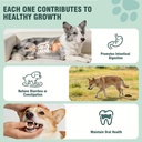 probiotics-for-dogs-200-soft-chews-suppo-4.jpg