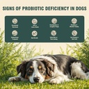 probiotics-for-dogs-200-soft-chews-suppo-5.jpg