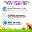 dog-probiotic-liquid-probiotics-for-dogs-2.jpg