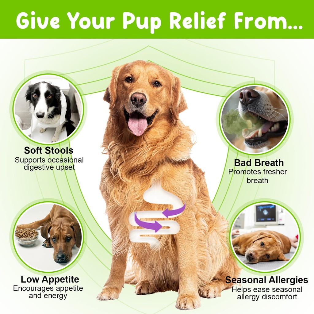 dog-probiotic-liquid-probiotics-for-dogs-3.jpg