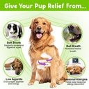 dog-probiotic-liquid-probiotics-for-dogs-3.jpg