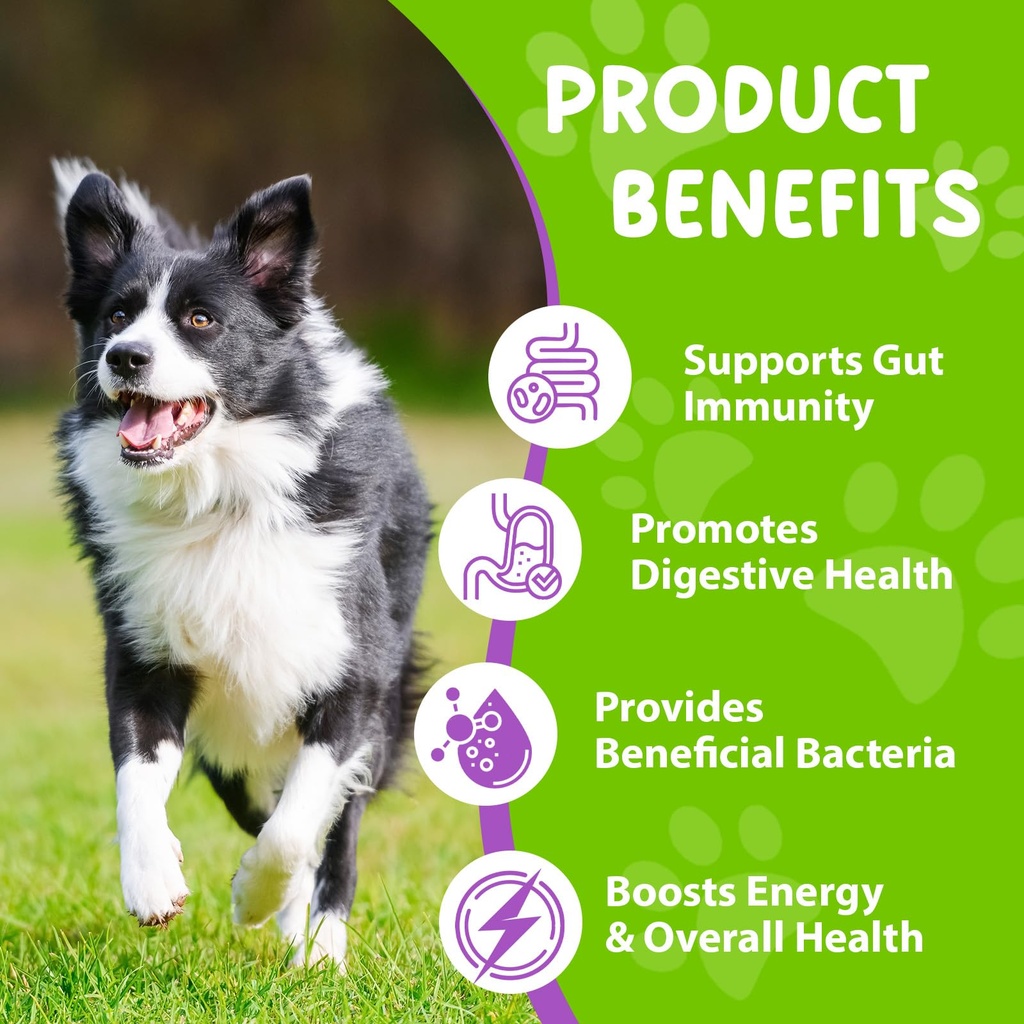 dog-probiotic-liquid-probiotics-for-dogs-4.jpg