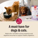 the-honest-kitchen-human-grade-instant-g-6.jpg
