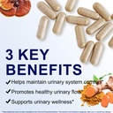 prostate-health-supplements-for-men-prom-3.jpg